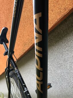 Kellys ALPINA ECO C10 - 29'' - L - 9