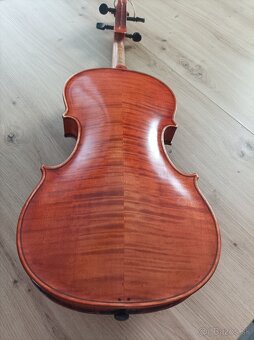 Viola39 - 9