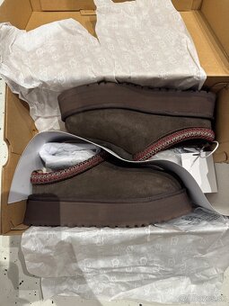Ugg TAZZ II platform- 38-dusted cocoa- original - 9