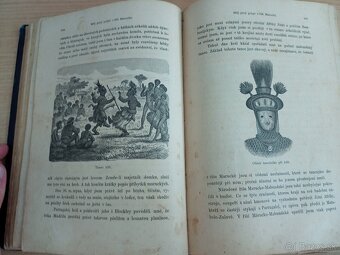 Sedm let v jižní Africe II 1881 - 9