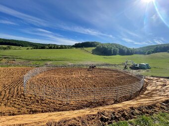 Ustajnenie koní - 9