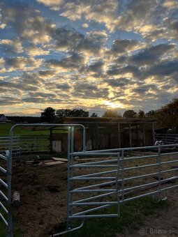 Ustajnenie v Lehote pod Vtáčnikom - 9