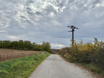 Predaj pozemok katastrálne územie Gemer 8689 m2 - 9