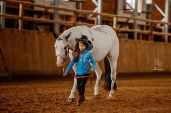 American Paint Horse kobylka frame overo - 9