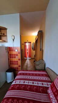 Prenájom 1 izbovy byt, Lamač - 9