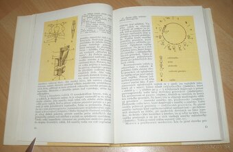 Medonosné rastliny - 9