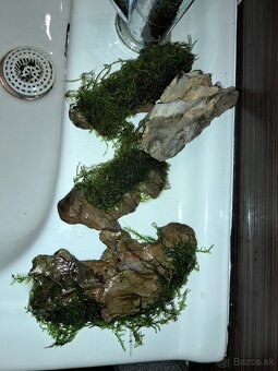 Vybavenie do akvária - 9