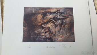 Grafiky litografie - 9
