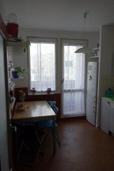 Spolubývanie pre ženu - v DOGFRIENDLY byte v Petržalke - 9