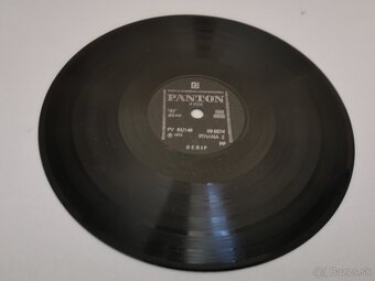 Retro darček - gramoplatne našich stálic pop music. - 9