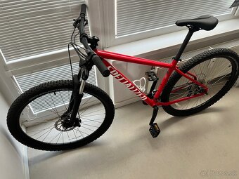 Specialized Rockhopper L 29" - 9
