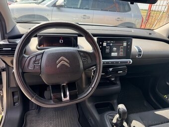 C4 cactus - 9