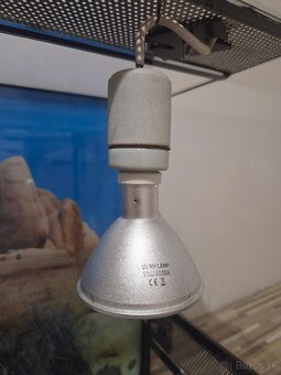 Terárium s vybavením - 9