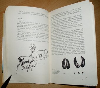 Lovecké praktikum - 9