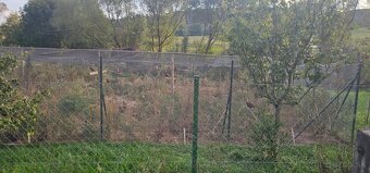 Predám siete na voliere - 9