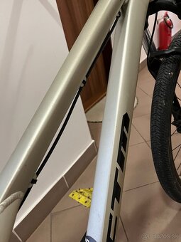 Ctm dirtking expert 2019 - 9