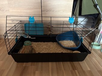 Zakrslý baranček Bob - 9