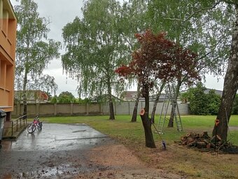 Ponúkame kosenie pozemkov - 9