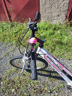 Bicykel detský - 9