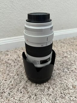 Canon EF 70-200mm f/2.8 L IS III USM - 9
