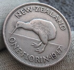 Mince Nový Zéland. - 9