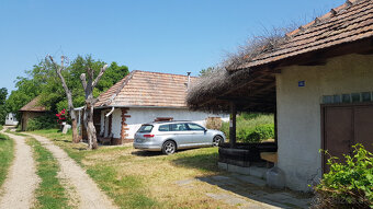 Predám pozemok na samote medzi vinohradmi pri Leviciach. - 9