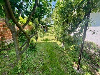 RD Preseľany, 4 izby, pozemok - 9