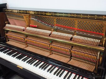 Steinway and Sons najvyššía prémiová kvalita - 9