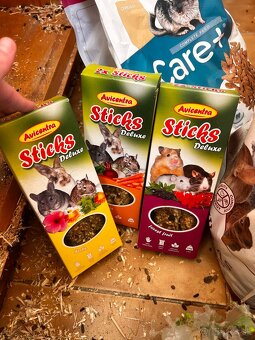 Predám Činčilu REZEROVANÉ VŠETKY - 9