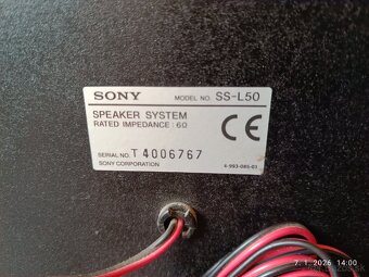 SONY RX50 - 9