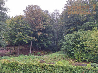 VYMEŇ SUSEDA - VÝNIMOČNÁ 4 IZB. CHATA - NOVOSTAVBA s úžasno - 9