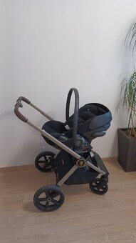 VENICCI TINUM UPLINE - 9