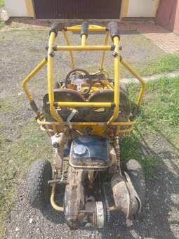 Buggy - 9