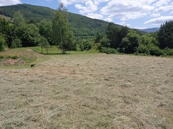 Seno pre drobné cicavce balené 1 KG - 9