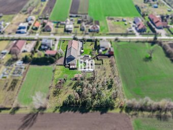 Rozľahlý pozemok s domom a lesíkom – ideálne pre hospodáreni - 9