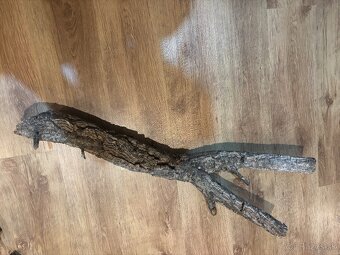 Terárium s chameleónom - 9