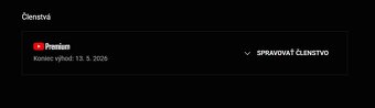 YouTube PREMIUM 12 M - 9