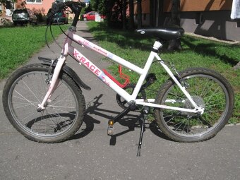 DEMA PRO Orion , Pionier 22, Dema Team frame race, - 9