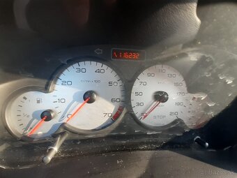 Peugeot 206SW - 9