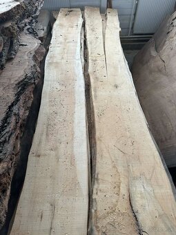 Vysušené javorové fošne, javor horský - 9