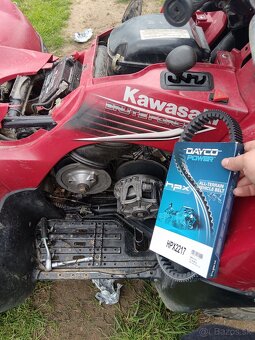 Kawasaki bruteforce 650 2006 - 9