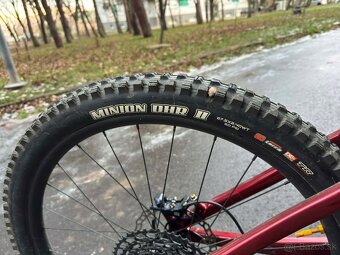 Trek Remedy 7 2022 - 9