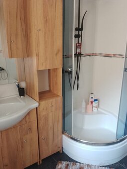 Rodinný dom - dlhodobý prenájom - 9