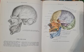Atlas anatomie člověka I a Ii - 9