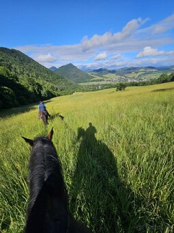 Ustajnenie ​🌿 Doprajte svojmu koňovi domov v srdci prírody - 9