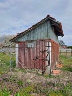 Nová cena - Krásny dom na predaj v obci Dolné Držkovce - 9