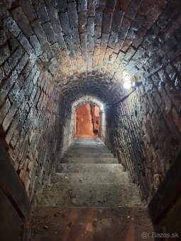 Na predaj dva viničné domčeky, Strekov - 9