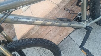Scott Roxter 26 disc S 2021 - 9