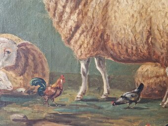 Obraz maľba na platne ovečky - 9