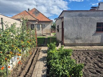 RD v obci Jelšovce - 9